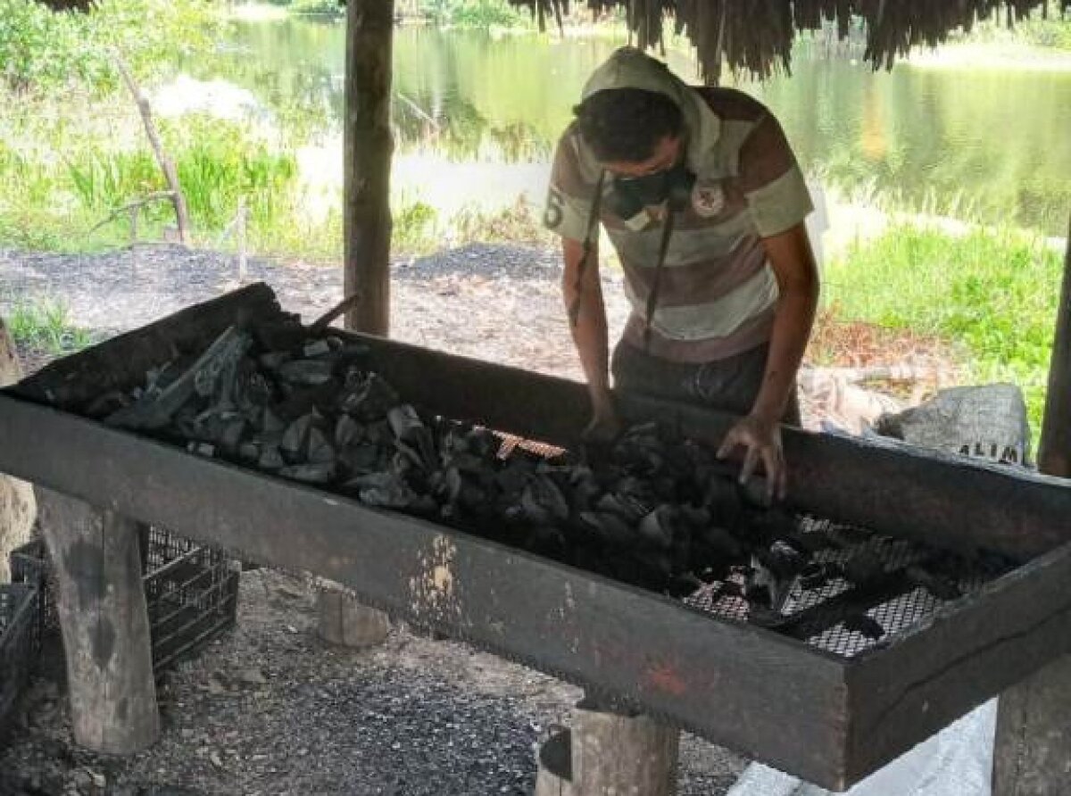 Charcoal Production: A Sustainable Resource from Mangroves
