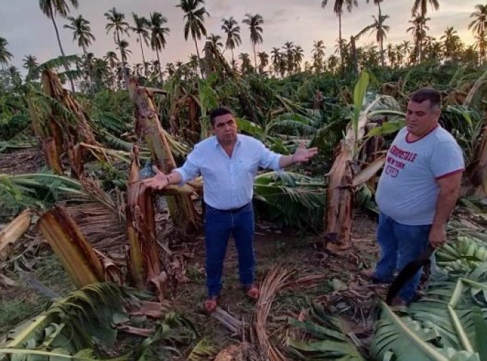 SADER Jalisco Continues Hurricane Damage Toll in Agricultural Sector