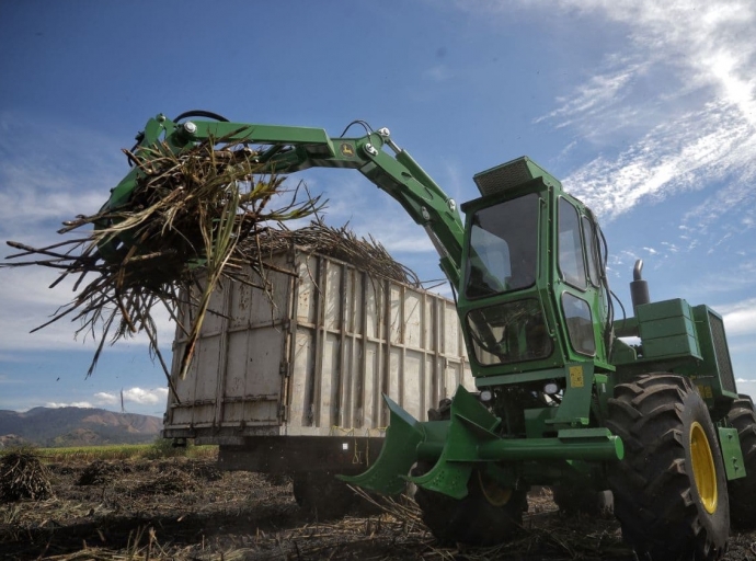 Mechanization Efficiency and Lots of Rain Strengthen Cane Harvest Expectations