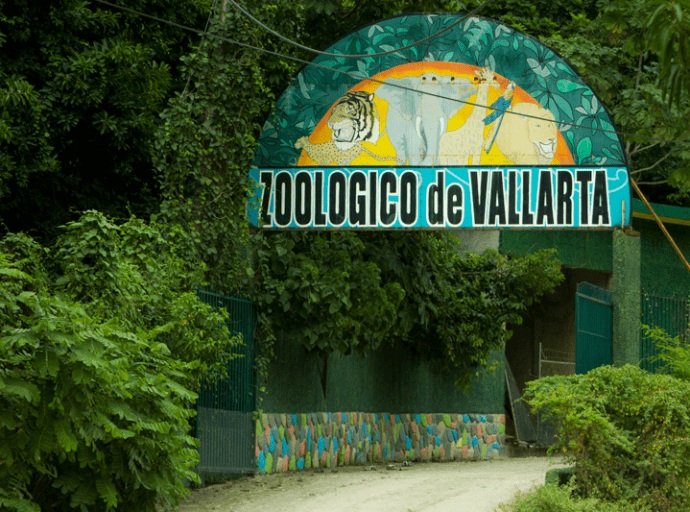 Day Trippin’ in PV; Visit the Jungle and See Some Tigers, Lions, and Bears