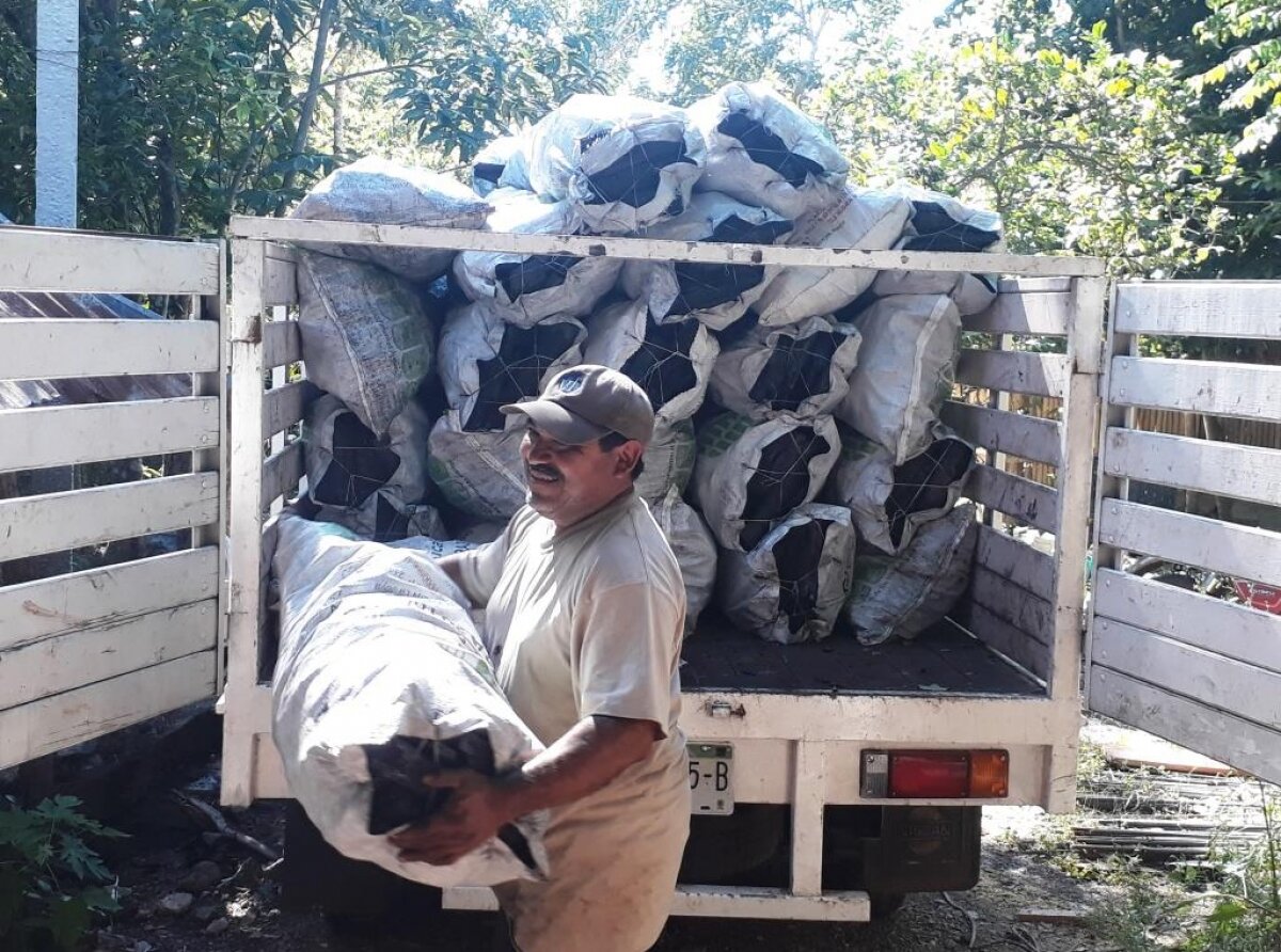 Tropical Charcoal; A Sustainable Business