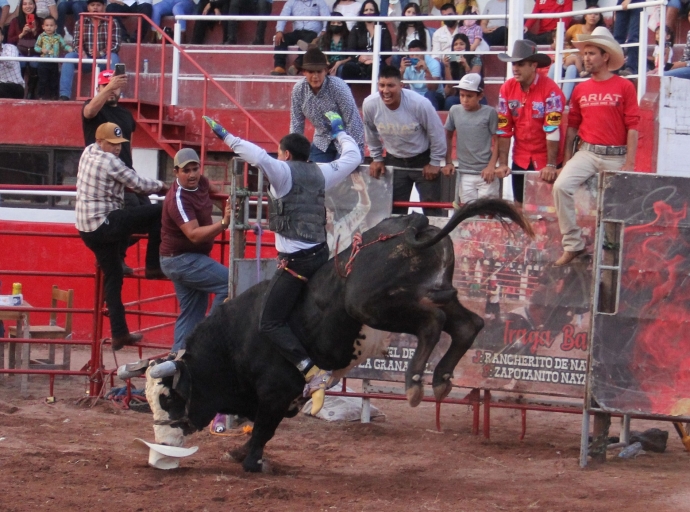 The Jalisco Livestock Expo Continues with Family Fun for Everyone!