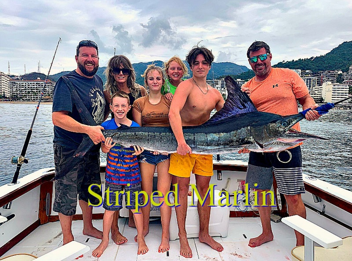 Striped Marlin, the Bubble and Football Tuna