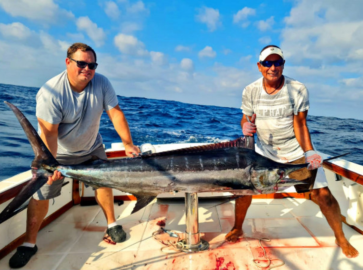 Hit & Run Fishing, Tuna, Mahi, Marlin and Krill